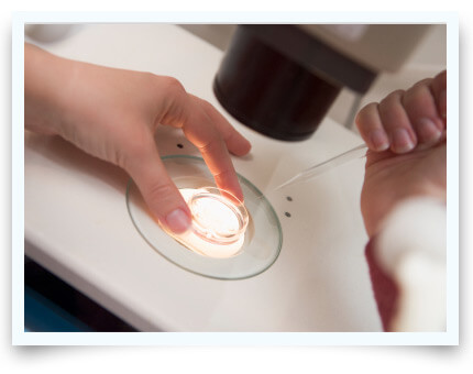 person examining specimen under microscope